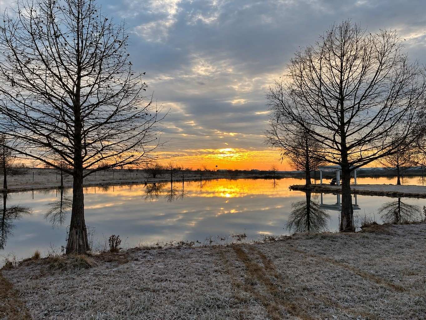 Sunrise over the still fishing lake, framed by two bare cypress trees, with frost on the grass in the foreground.