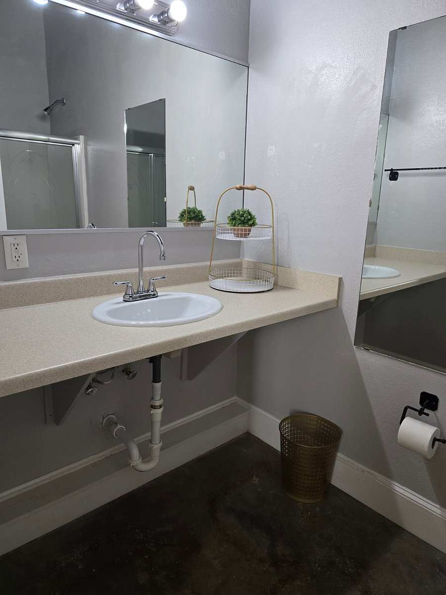 Studio 203 bathroom: a long vanity with a sink, a mirror, small plants and a towel rack.